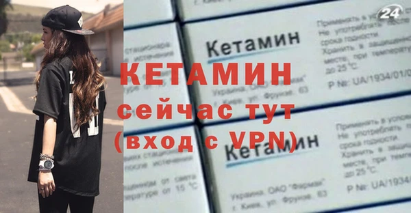 гашик Верея