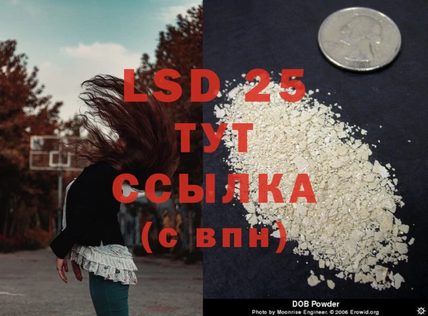гашик Верея