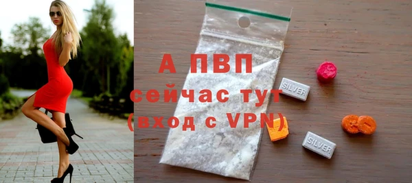гашик Верея