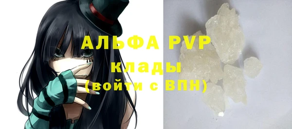 гашик Верея