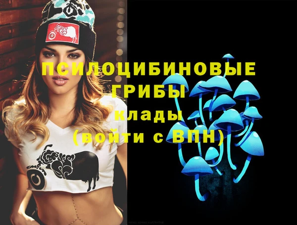 гашик Верея