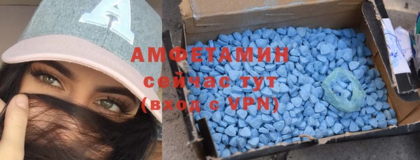 гашик Верея