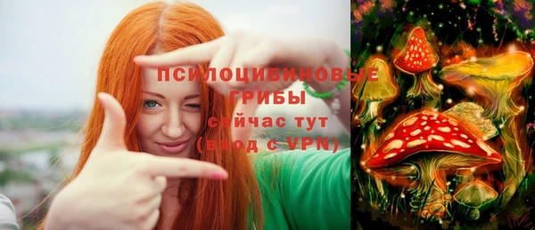 spice Верхний Тагил